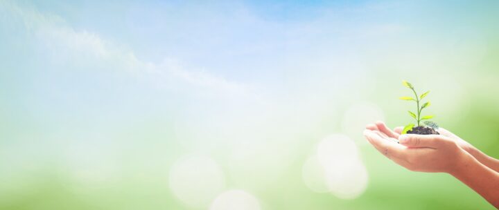 image for Mechanisms of Humic and Fulvic Acids / Effects of Sulfur and Salt