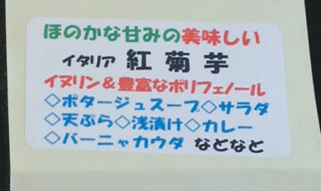 紅菊芋の手書きポップ