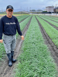 Yoshiaki Ochiai's strong seedlings