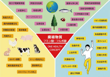 Functions of Humic Substances: Humic and Fulvic Acids