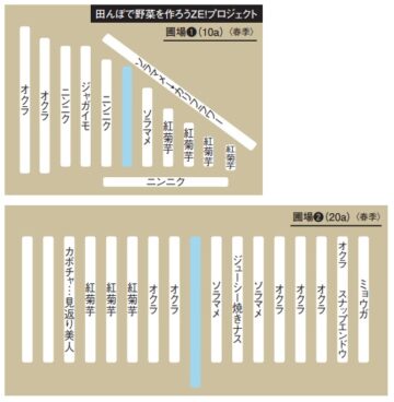 Simplified Diagram of Mr. Kiyota’s Fields