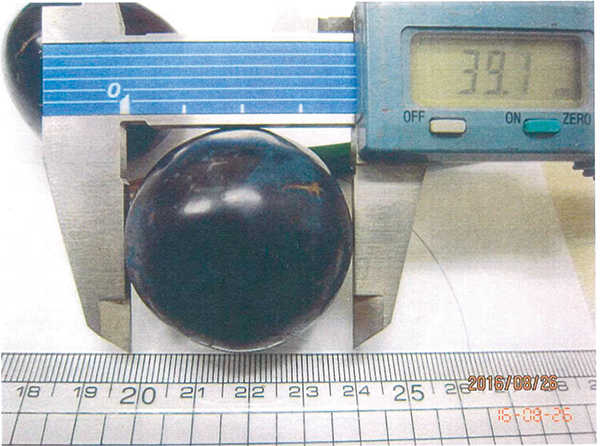 Mr. Miyagawa’s Nagano Purple Grapes