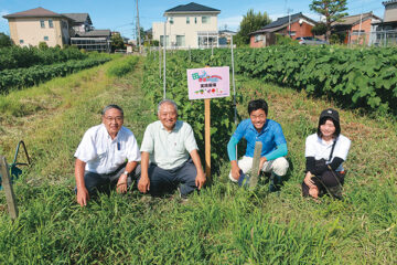 清田さんの水田転作圃場