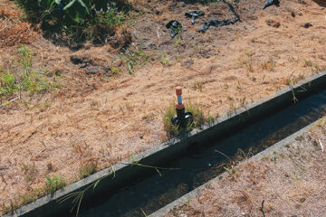 A water tap that tells us of the existence of rice paddies